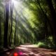 From Breakdown to Breakthrough: My Journey to Recovery